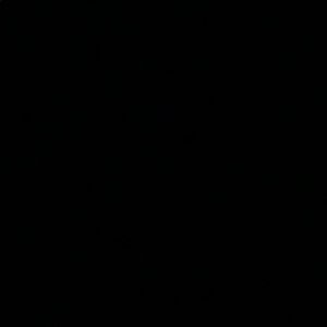 Meet your Posher, Brady